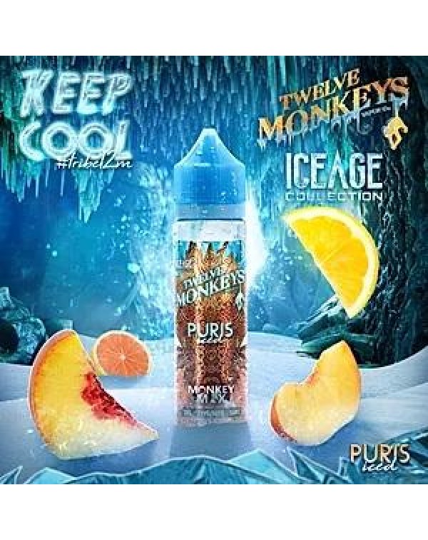 PURIS ICED E LIQUID BY 12 MONKEYS 50ML 70VG