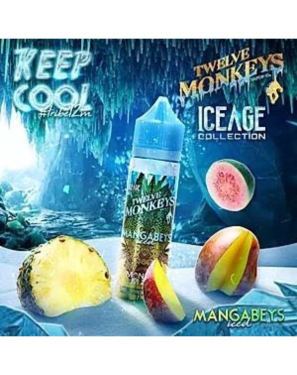 MANGABEYS ICED E LIQUID BY 12 MONKEYS 50ML 70VG