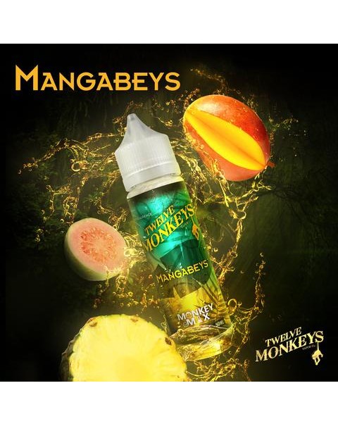 MANGABEYS E LIQUID BY 12 MONKEYS 50ML 75VG